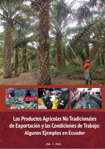 Los Productos Agrícolas No Tradicionales de Exportación y las Condiciones De Trabajo: