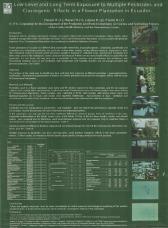 Low level and long term exposure to multiple pesticides and clastogenic effects in a flower plantation in Ecuador